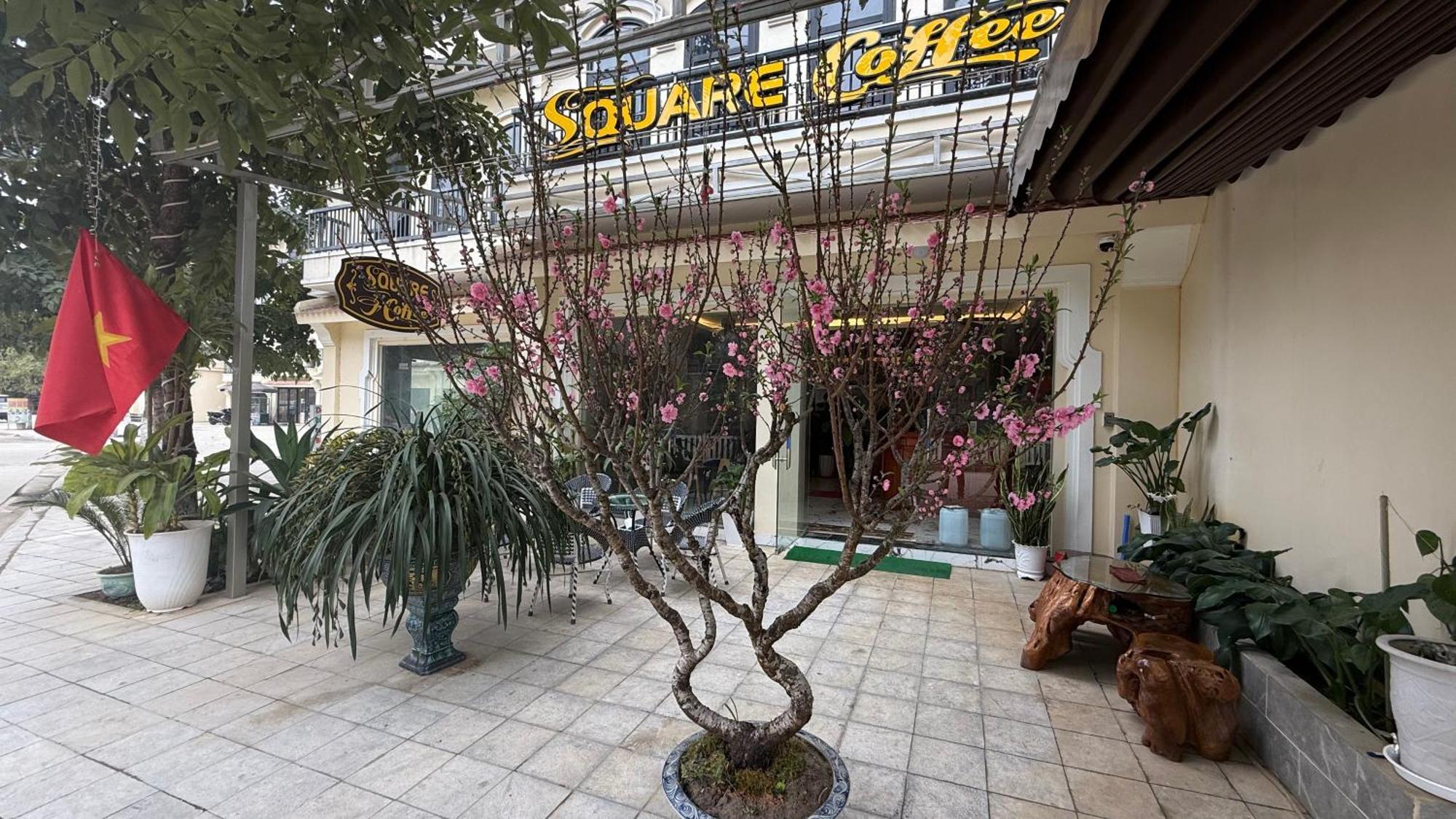 Square Homestay & Coffee Bac Ha  Eksteriør billede